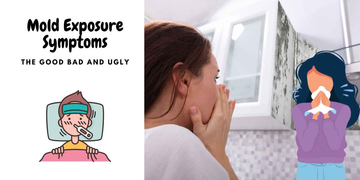 Danger in the Air Symptoms of Mold Exposure You Shouldn't Ignore KDS